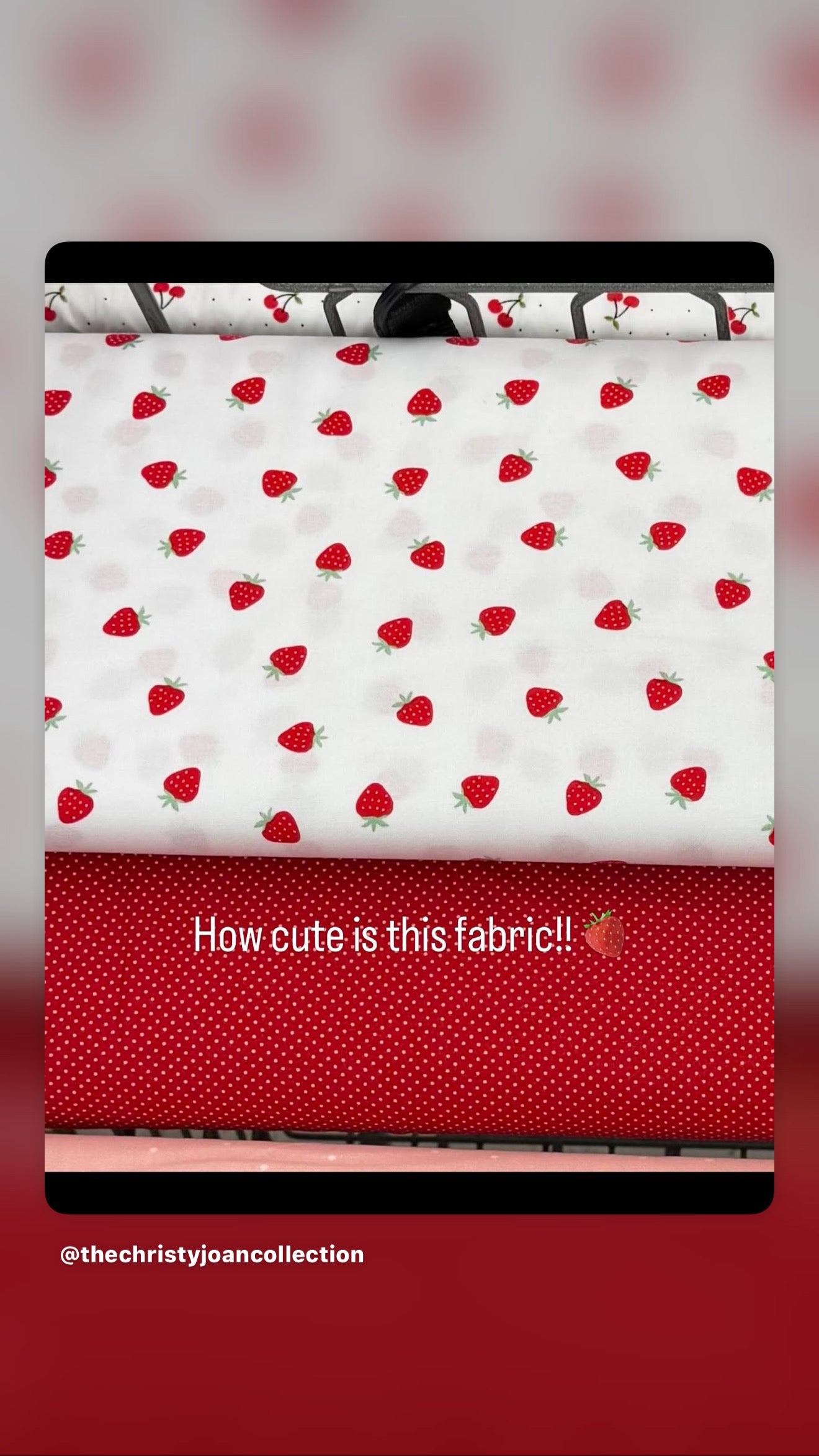 Strawberry Fields Make Up Bag & Key Fob Wristlet